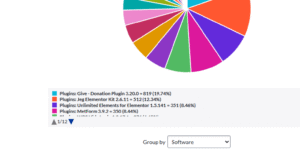 Report - Vulnerabilities by Software